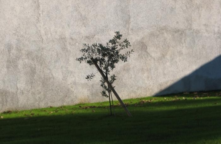 Frančiškanski Samostan Koper zaključna dela 2008